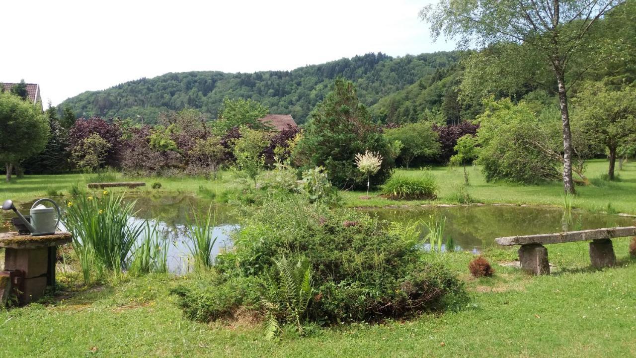 לינה וארוחת בוקר Faucogney-et-la-Mer Pied Des Milles Etang - Les Capucins מראה חיצוני תמונה