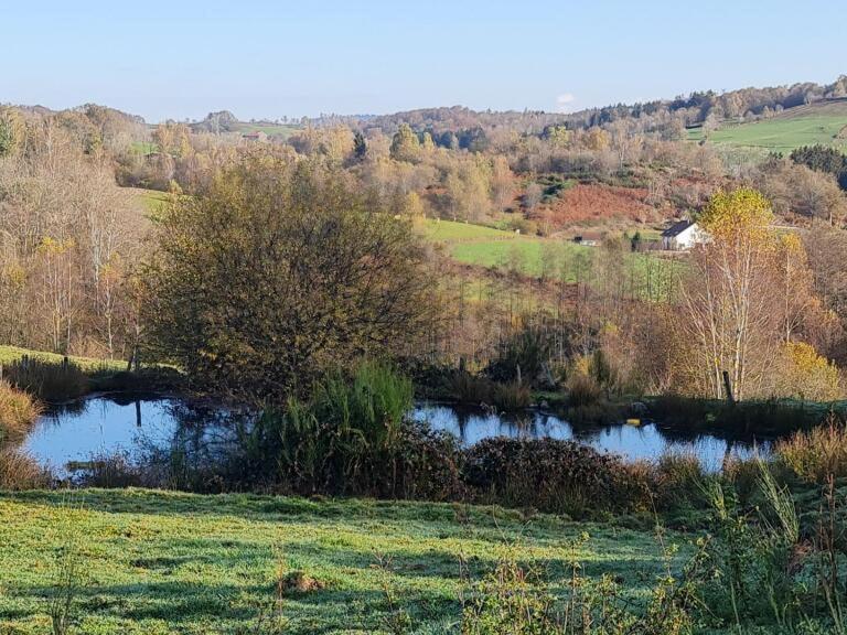 לינה וארוחת בוקר Faucogney-et-la-Mer Pied Des Milles Etang - Les Capucins מראה חיצוני תמונה